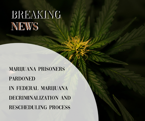 Marijuana Decriminalization Achieves Significant Milestone