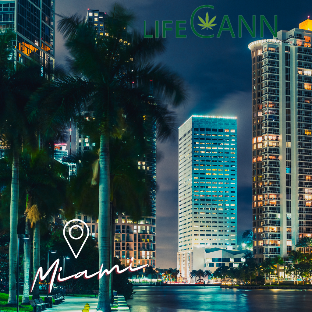 Where to Buy Cannabis in Miami